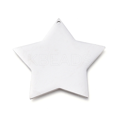Tarnish Resistant 304 Stainless Steel Pendants STAS-L238-108A-P-1