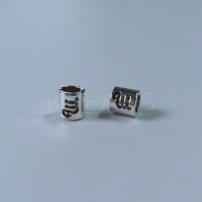 Tibetan Style Alloy European Beads FIND-WH0111-50I-1