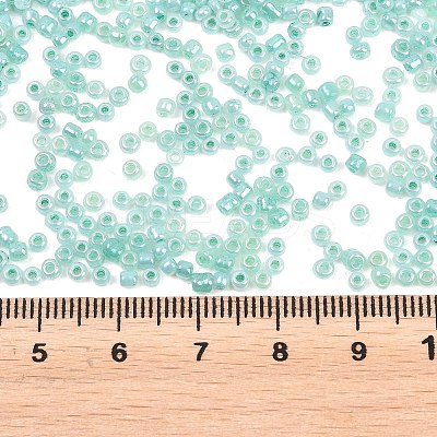 Glass Seed Beads SEED-XCP0001-48-1