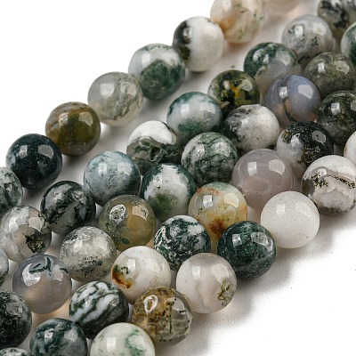 Natural Tree Agate Round Gemstone Beads Strands G-R255-6mm-1