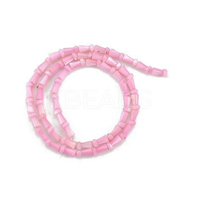 Natural Freshwater Shell Beads Strands SHEL-G013-02-1