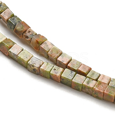 Natural Unakite Beads Strands G-B064-A10-1