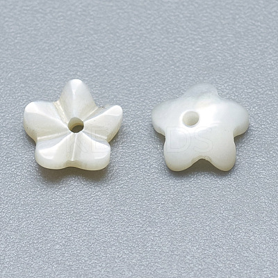 Natural White Shell Beads SSHEL-S260-005-1