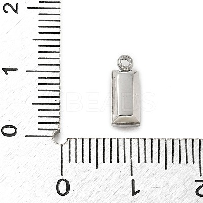 304 Stainless Steel Charm STAS-L022-242P-12-1