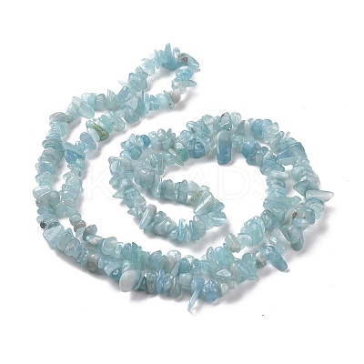 Natural Aquamarine Chips Beads Strands G-D0002-A02-1
