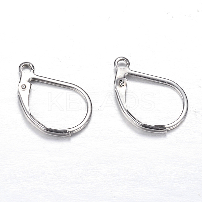 Tarnish Resistant 304 Stainless Steel Leverback Earring Findings X-STAS-M217-03-1