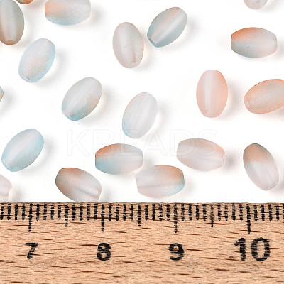 Frosted Glass Seed Beads SEED-N008-05H-1