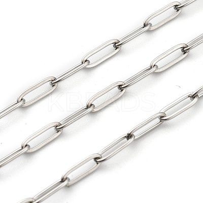 Non-Tarnish 304 Stainless Steel Paperclip Chains STAS-H111-04P-B-1