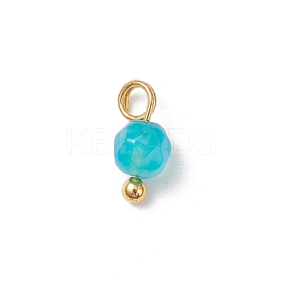 Natural Agate(Dyed & Heated) Faceted Round Charms PALLOY-JF04286-01-1