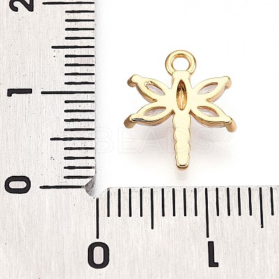 Brass Micro Pave Cubic Zirconia Charms KK-N261-10G-1