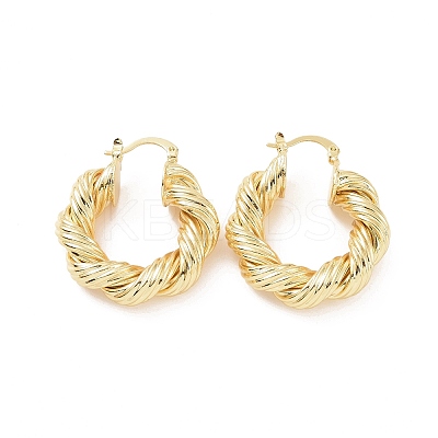 Brass Twist Rope Shape Hoop Earrings for Women EJEW-F303-07G-1