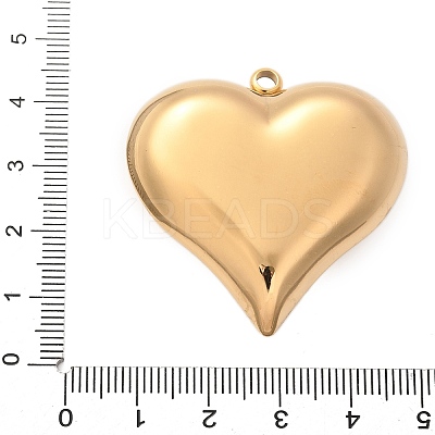 304 Stainless Steel Pendants STAS-Q349-02B-G-1