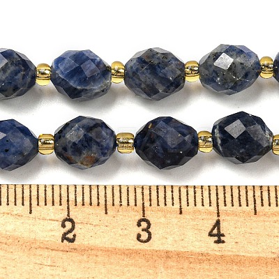 Natural Sodalite Beads Strands G-N342-57-1