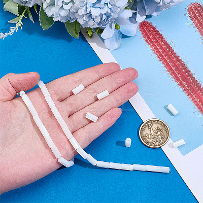 1 Strand Natural Freshwater Shell Beads Strands BSHE-PH0001-55A-1