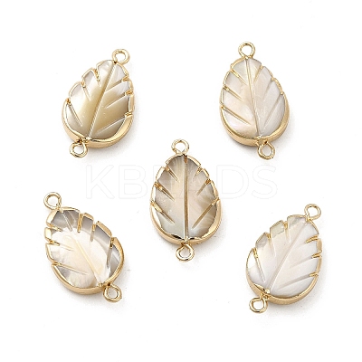 Shell Pearl Connector Charms PEAR-P004-66KCG-1