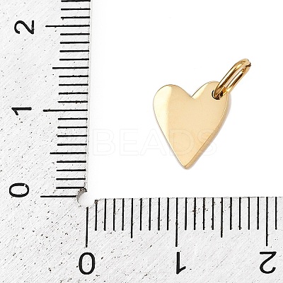 304 Stainless Steel Charms STAS-L291-01G-S-1