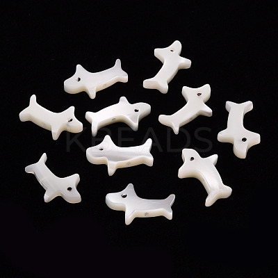 Natural Trochid Shell/Trochus Shell Beads SSHEL-T014-30-1