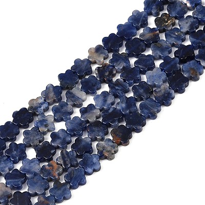 Natural Sodalite Beads Strands G-B138-C12-01-1