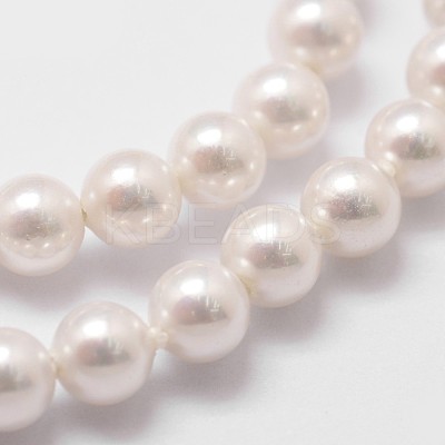 Shell Pearl Bead Strands X-BSHE-L025-01-4mm-1