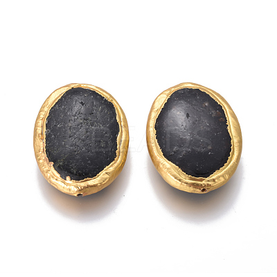 Natural Black Fossil Beads G-F633-14A-1