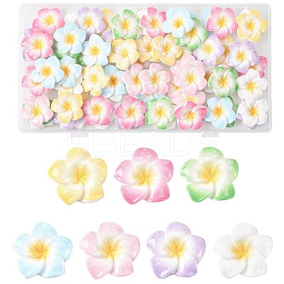 70Pcs 7 Colors Plumeria Flower Opaque Resin Cabochons CRES-FS0001-32-1
