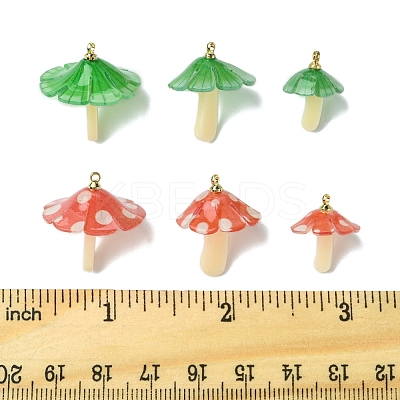 10Pcs 2 Colors Plastic Pendants KY-FS0001-34A-1