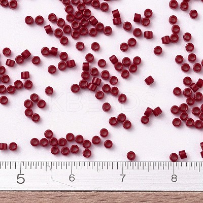 MIYUKI Delica Beads SEED-J020-DB0791-1