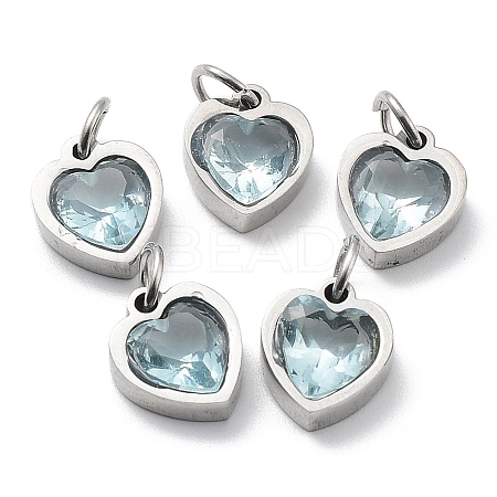 304 Stainless Steel Pendants STAS-D189-06P-14-1
