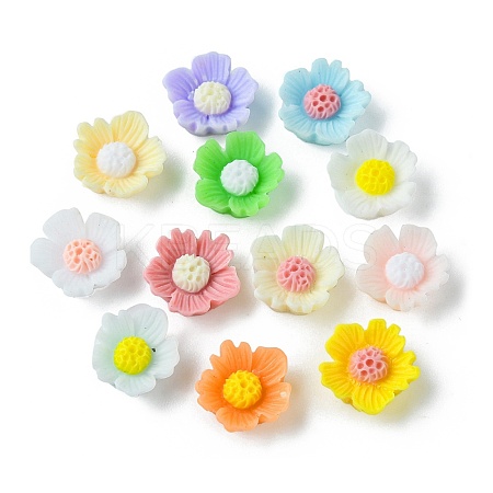 Opaque Resin Cabochons RESI-E039-03-1