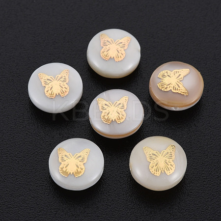 Natural Freshwater Shell Beads SHEL-S278-060-1