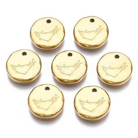 316 Surgical Stainless Steel Charms STAS-S116-418C-G-1