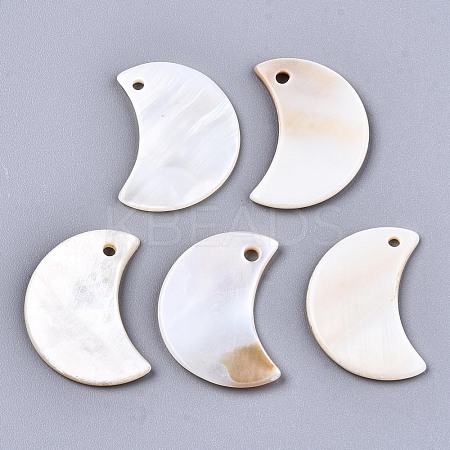 Natural Freshwater Shell Pendants SHEL-R113-09-1