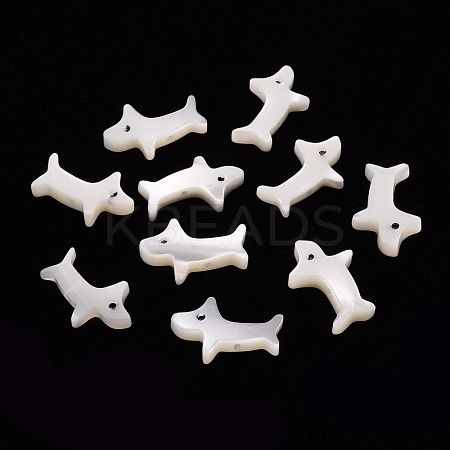 Natural Trochid Shell/Trochus Shell Beads SSHEL-T014-30-1