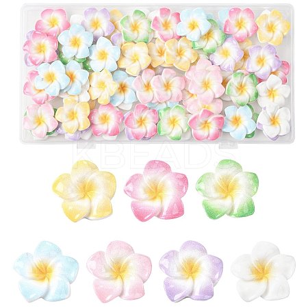 70Pcs 7 Colors Plumeria Flower Opaque Resin Cabochons CRES-FS0001-32-1
