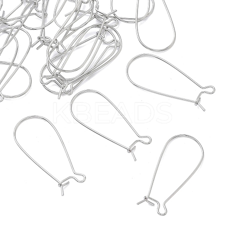 SHEGRACE Brass Kidney Ear Wire XGR0004P-43P-1
