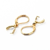 304 Stainless Steel Leverback Earring Findings FIND-WH0110-052G-2