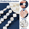 3 Strands Natural Freshwater Shell Beads Strands SHEL-NB0001-46-4