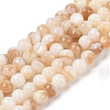 Natural Freshwater Shell Beads Strands X-SHEL-T011-02-6mm-1