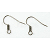 Platinum Brass Earring Hooks X-KK-Q363-P-NF-1