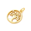 Brass Micro Pave Cubic Zirconia Pendants KK-D325-57G-01-2