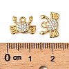 304 Stainless Steel Charms STAS-F321-01G-02-3