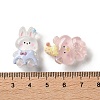 Transparent Resin Cabochons RESI-K043-26-3