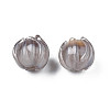 Handmade Lampwork Beads LAMP-T016-11B-2