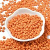 Baking Paint Glass Seed Beads X1-SEED-B001-02A-07-2