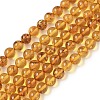 Natural Amber Beads Strands G-L095-B01-6mm-02-2