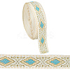 10Yards Embroidery Polyester Ribbons OCOR-GF0004-85C-1