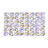 48Pcs Glass Rhinestone Cabochons MRMJ-N029-03-11-1