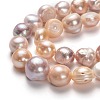 Natural Cultured Freshwater Pearl Beads Strands PEAR-L033-41A-2