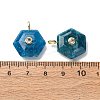 Natural Apatite Pendants G-P588-02G-09-3