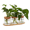 Column Glass Hydroponics Plants Pot Flower Bottle Tube Vase Set AJEW-WH0541-11A-1